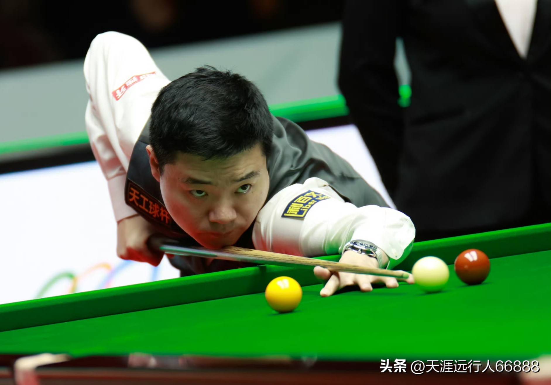 维尔纳必须 维尔纳必须