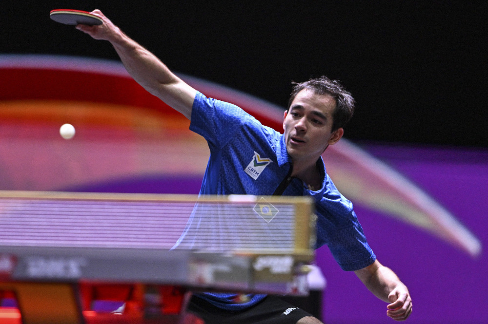 她在对抗中 她在对抗中