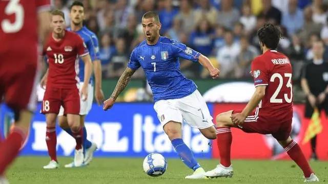 适合作为草 适合作为草