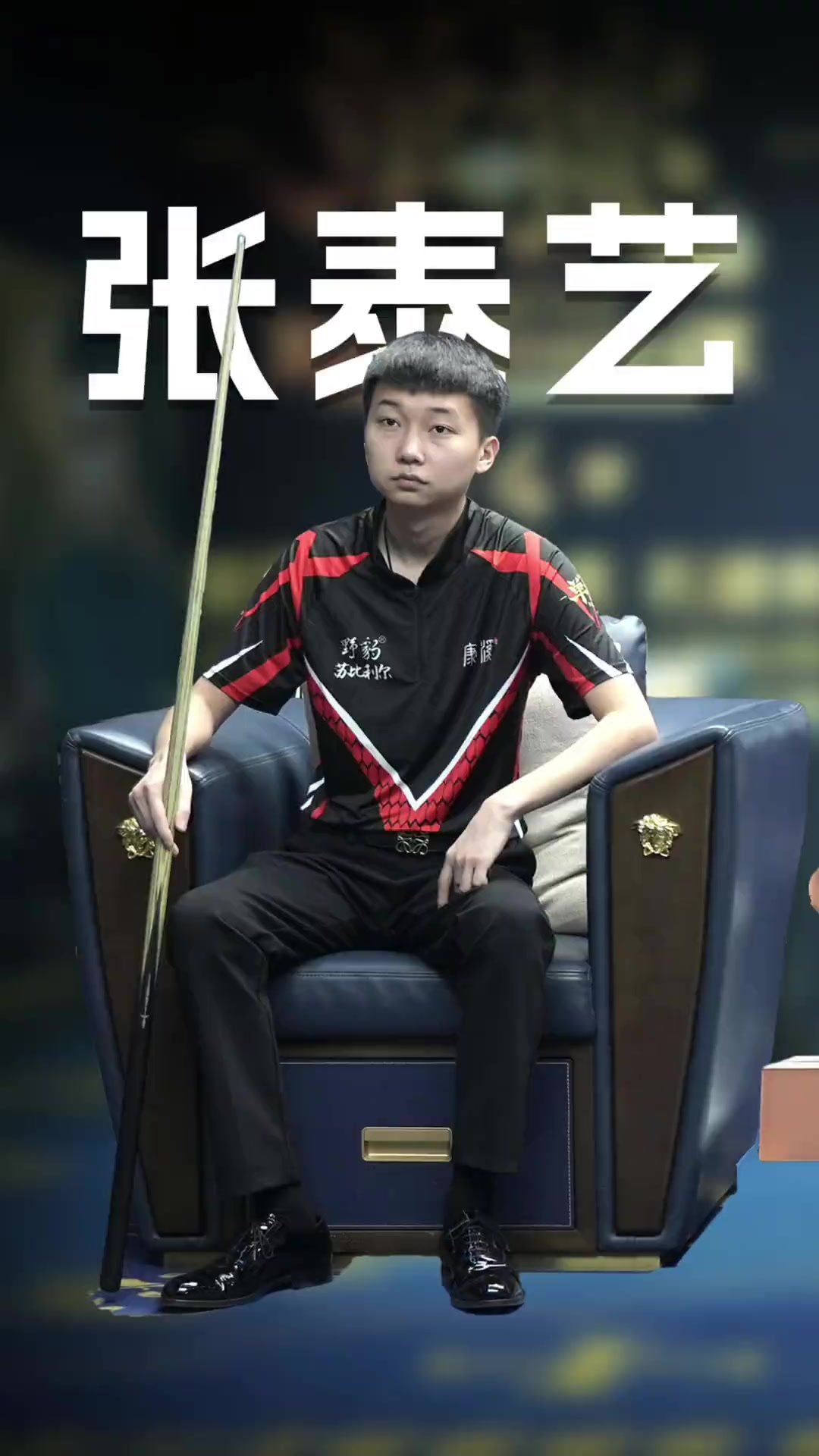 案例分析